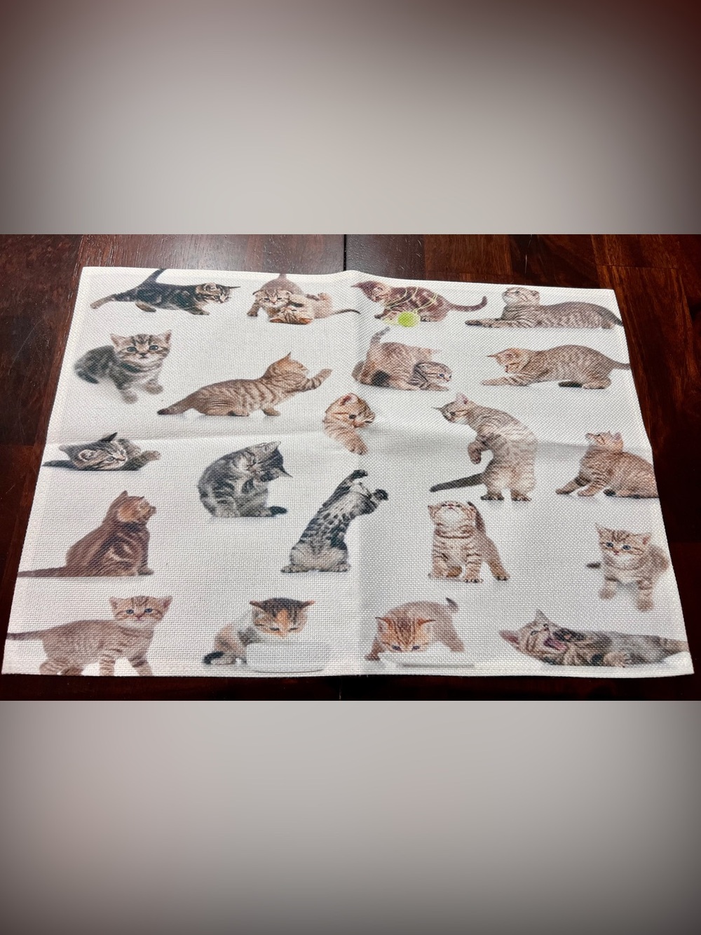 Set of 4 Kitten Print Placemats Cat Lover Table Decor
